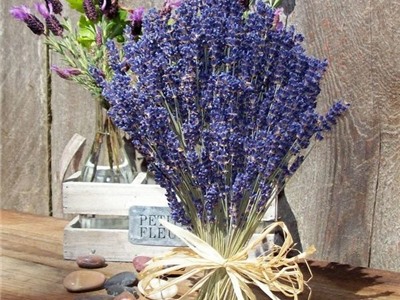 Tại sao nên tặng hoa Lavender cho ngày 8/3  - 20/10?